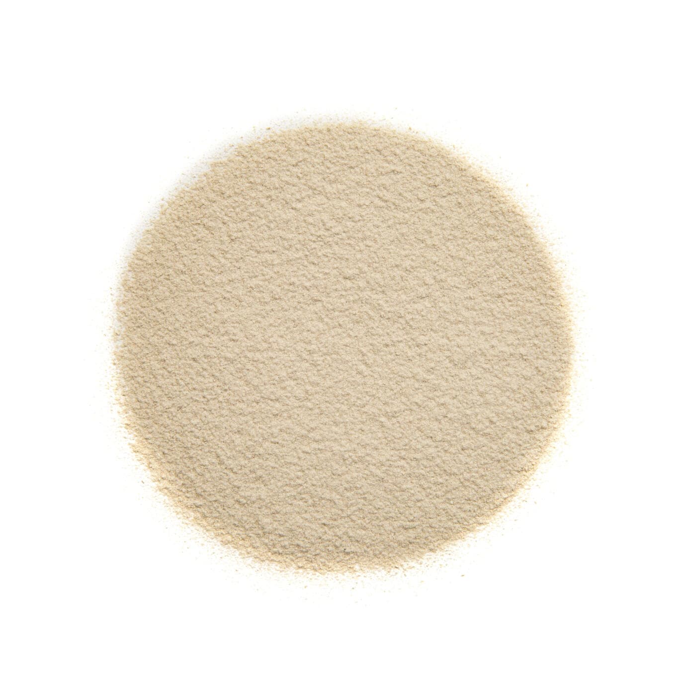Sonnenblumen Protein